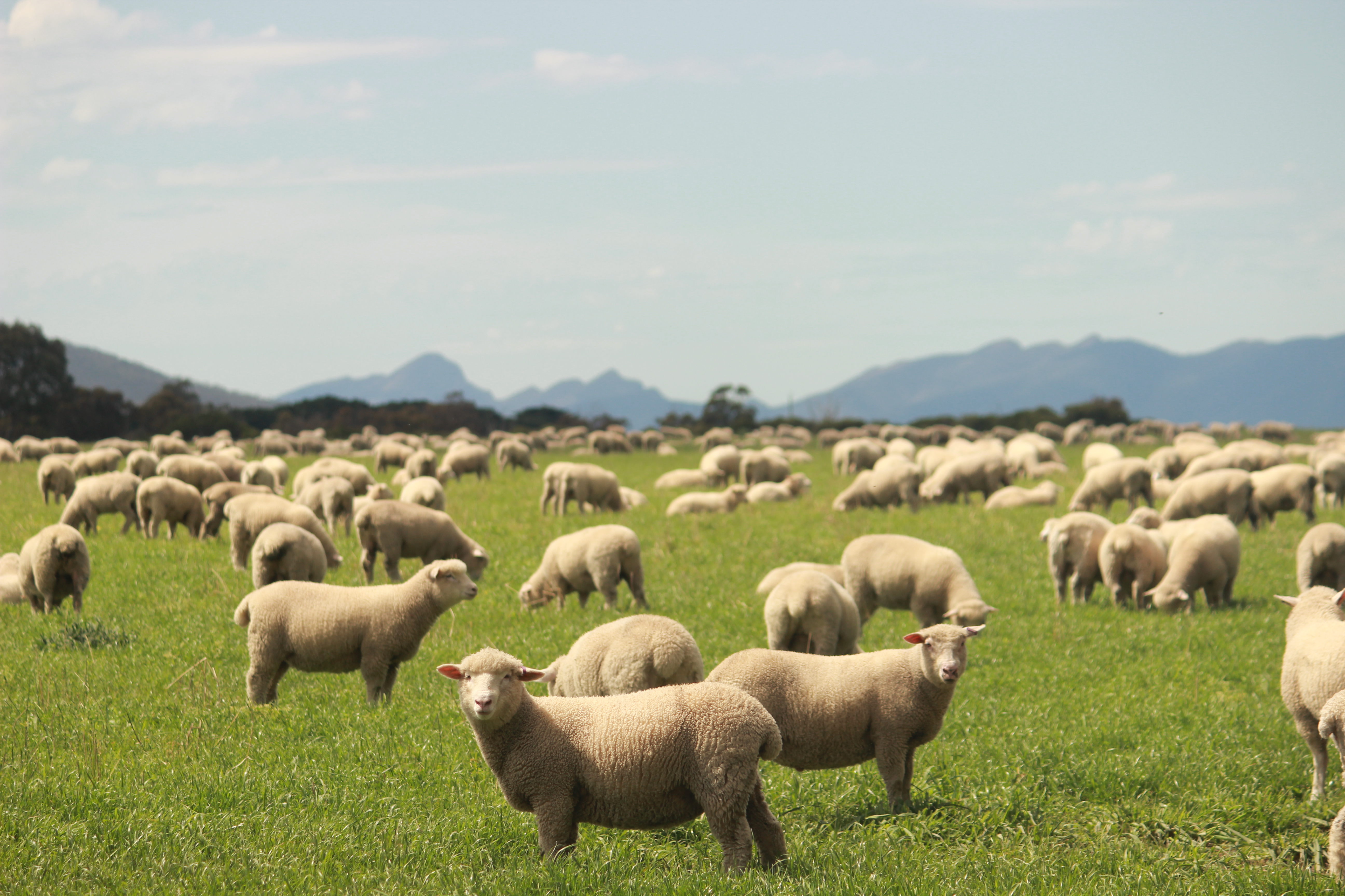 Our Locations — JBS Foods