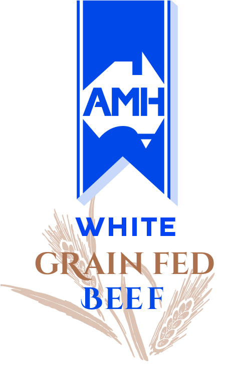 AMH White logo